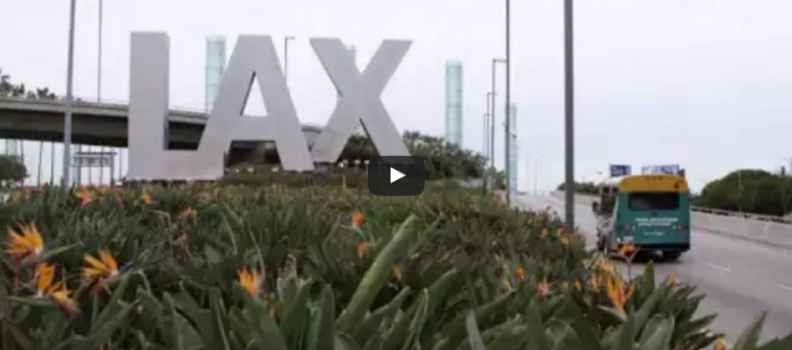 Video: Discover L.A.’s Neighborhoods: LAX Corridor